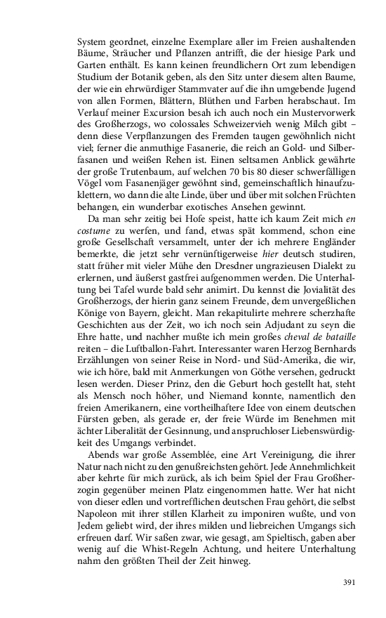 Seite 391