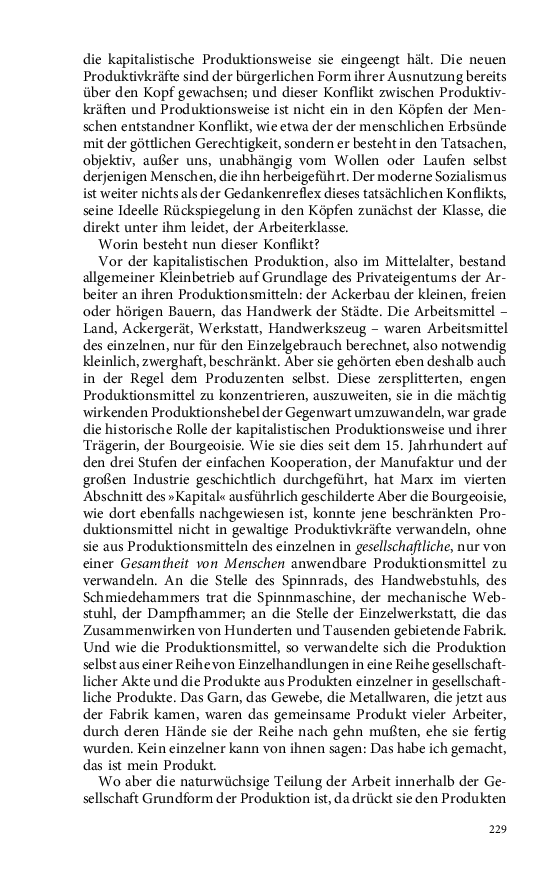Seite 229