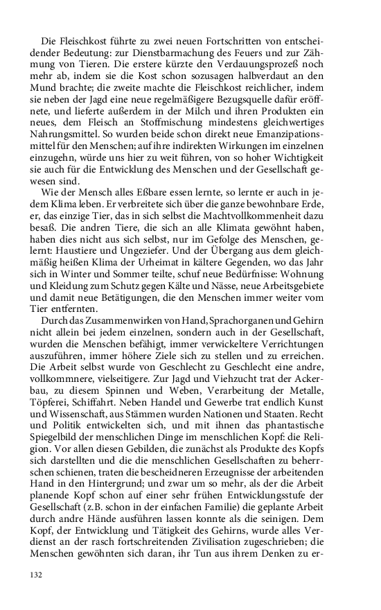 Seite 132