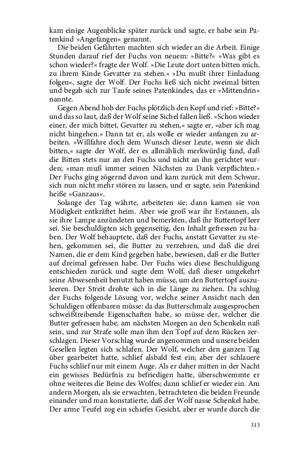 Seite 313