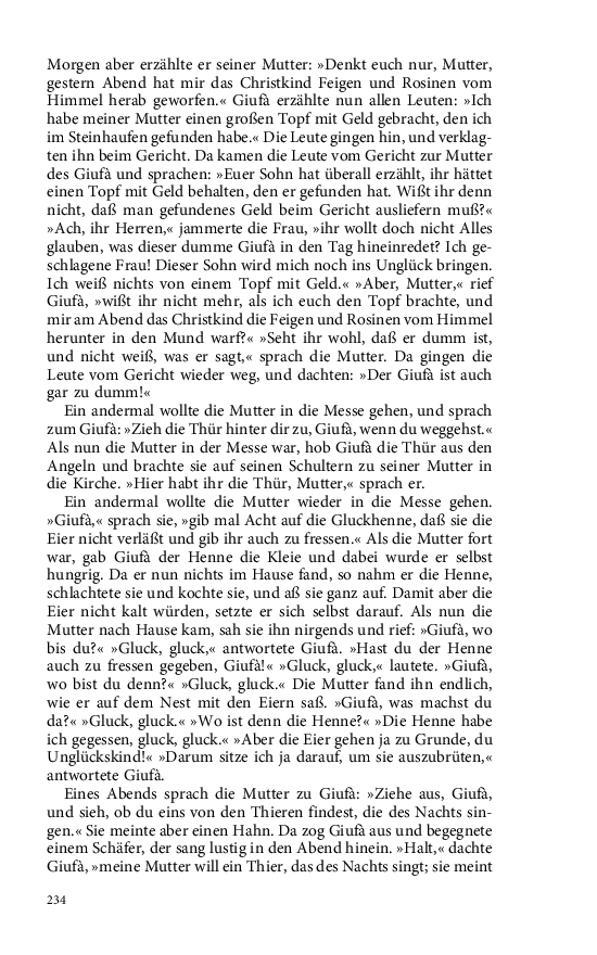 Seite 234