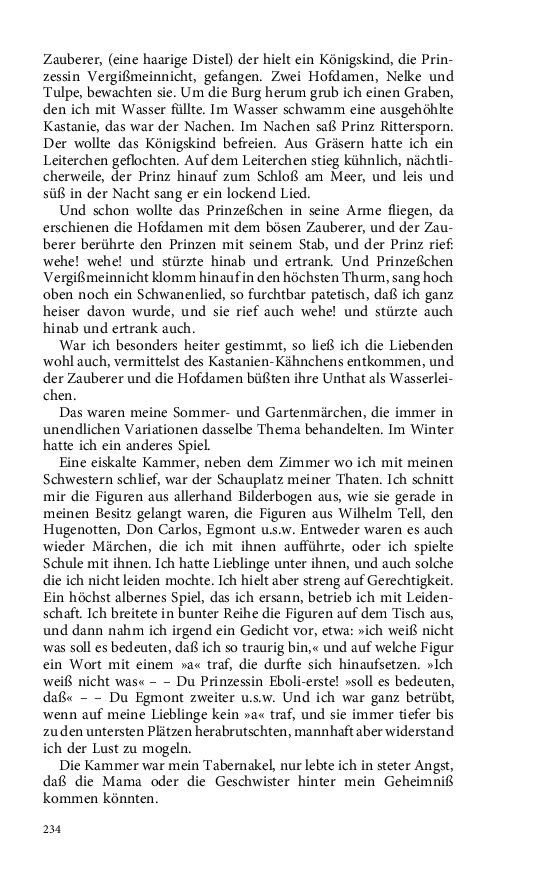 Seite 234
