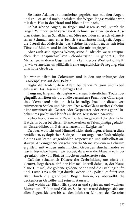 Seite 377