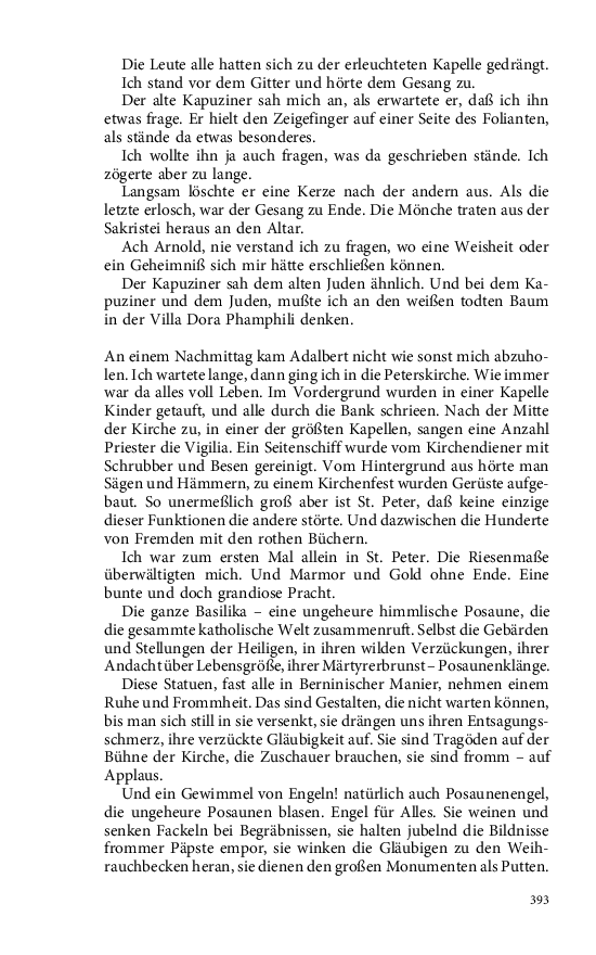 Seite 393