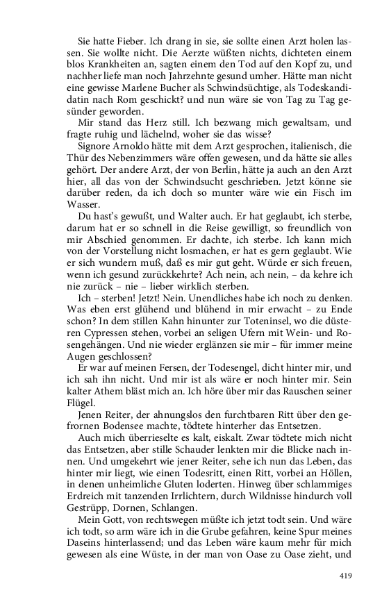 Seite 419