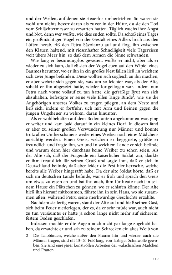 Seite 119