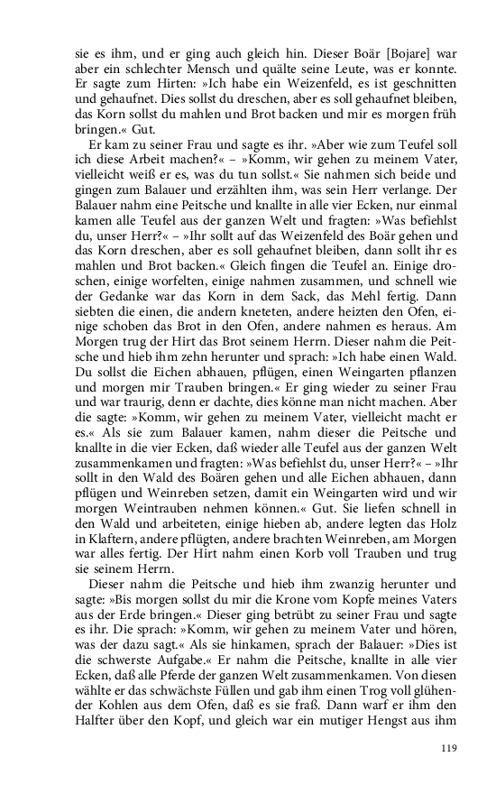 Seite 119