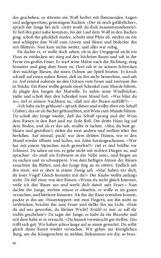 Seite 80