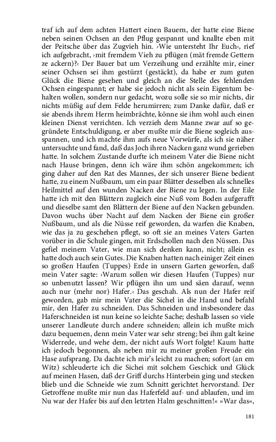 Seite 181