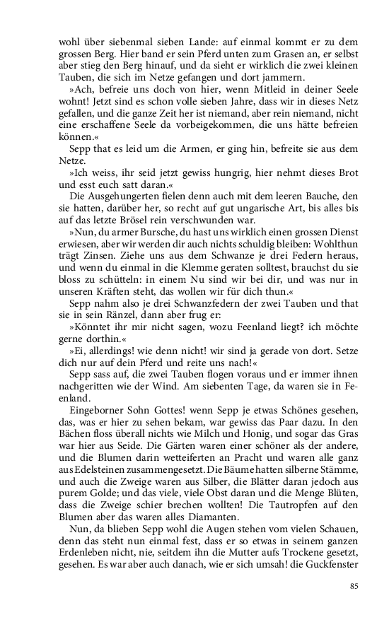 Seite 85