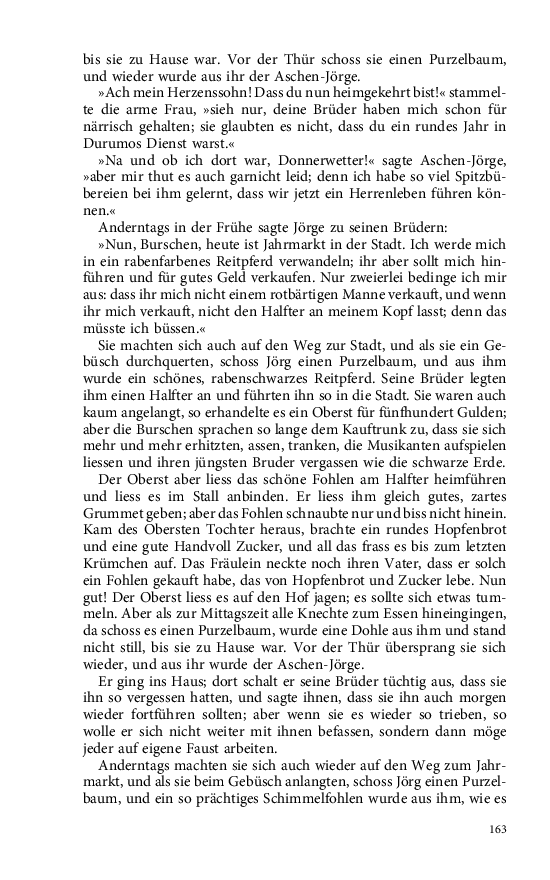 Seite 163