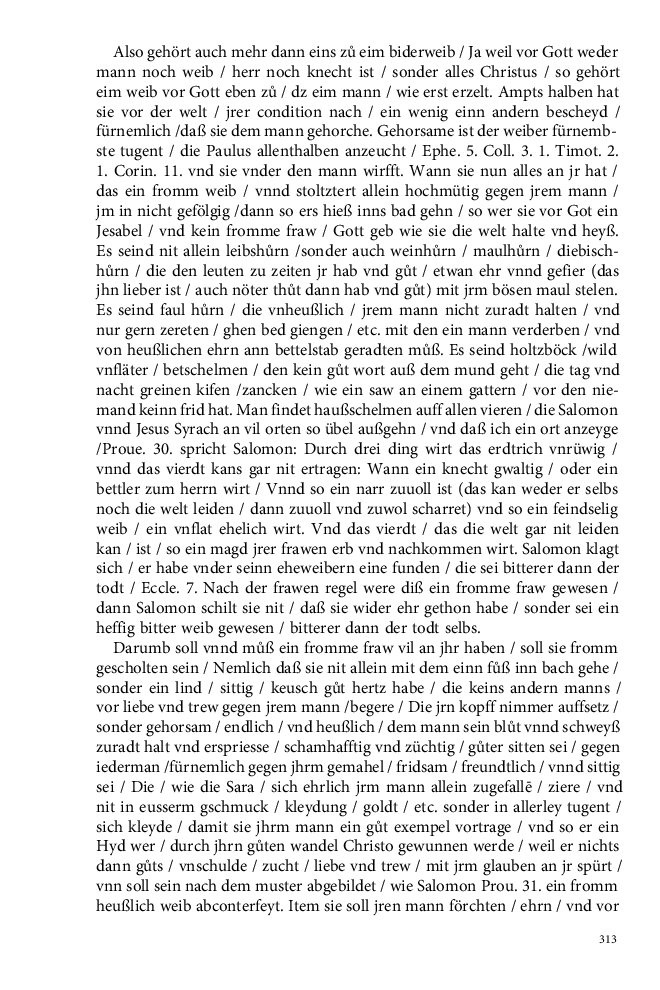 Seite 313