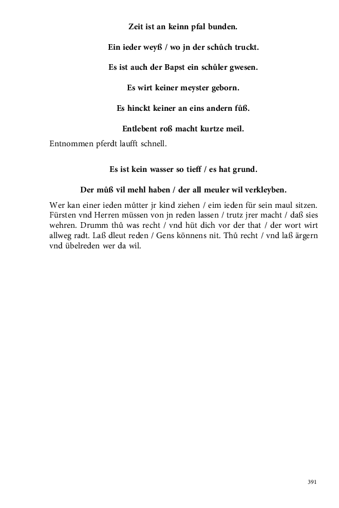 Seite 391