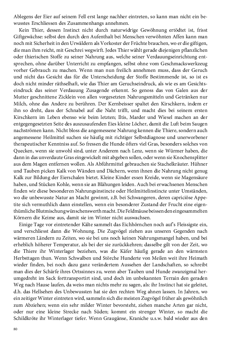 Seite 80