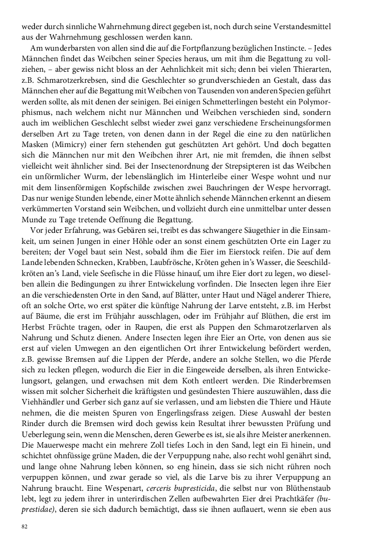 Seite 82