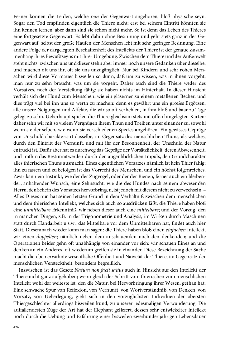 Seite 426