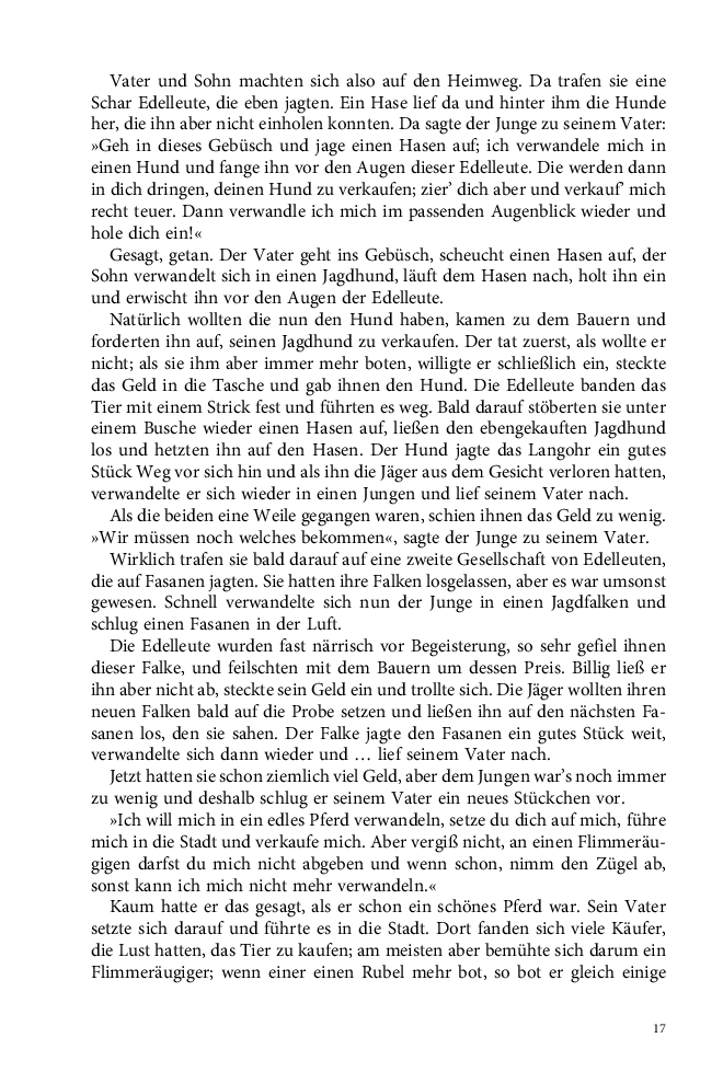 Seite 17