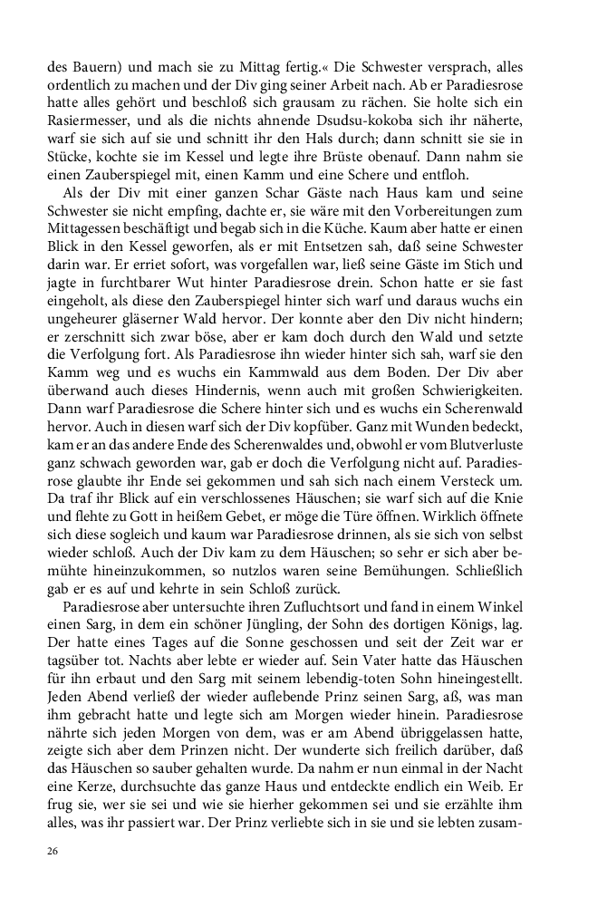 Seite 26