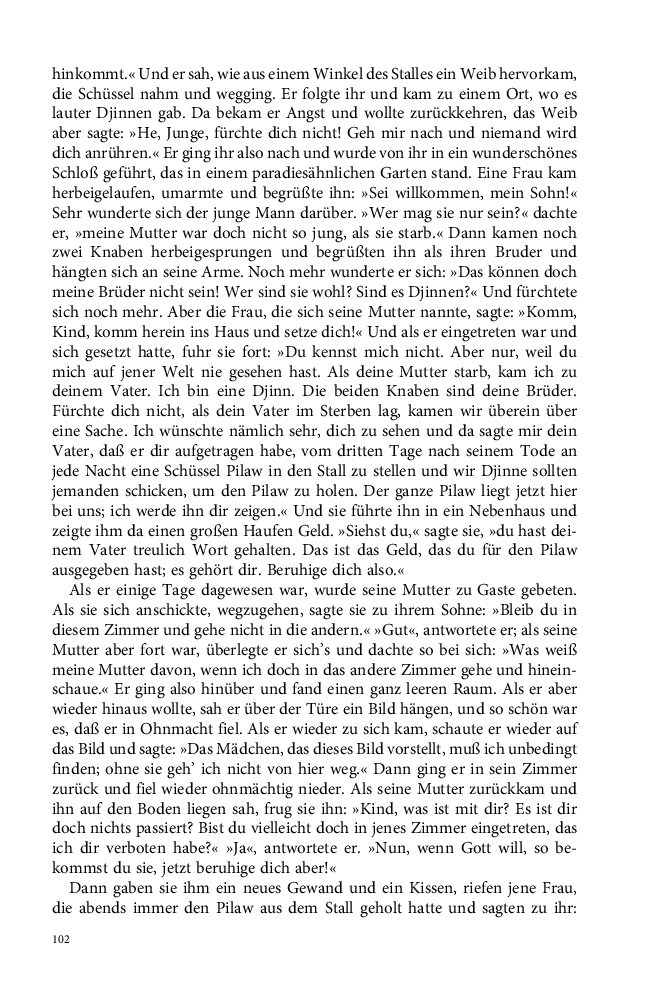 Seite 102