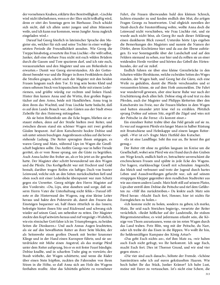 Seite 313