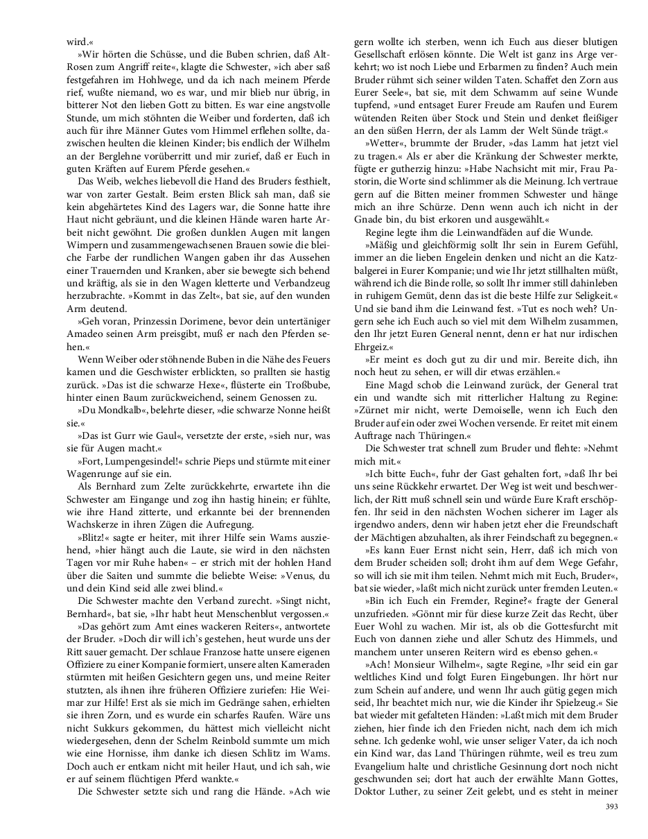 Seite 393