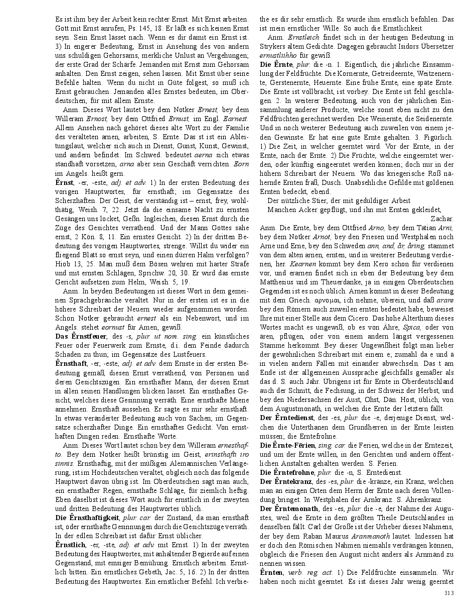 Seite 313