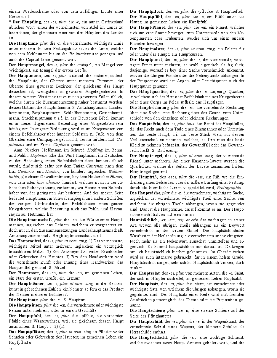 Seite 310