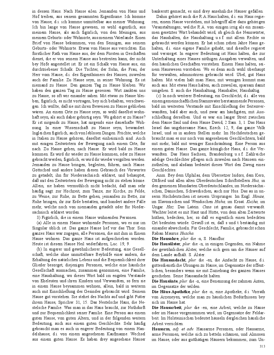 Seite 313