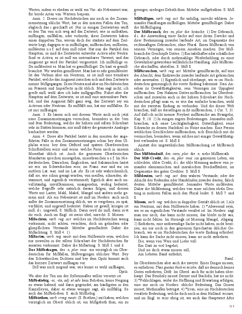 Seite 313