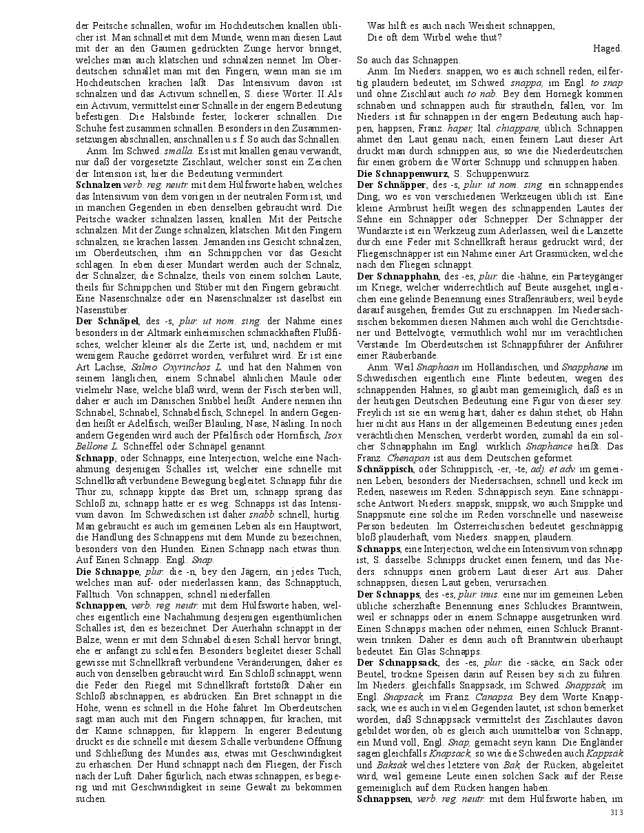 Seite 313