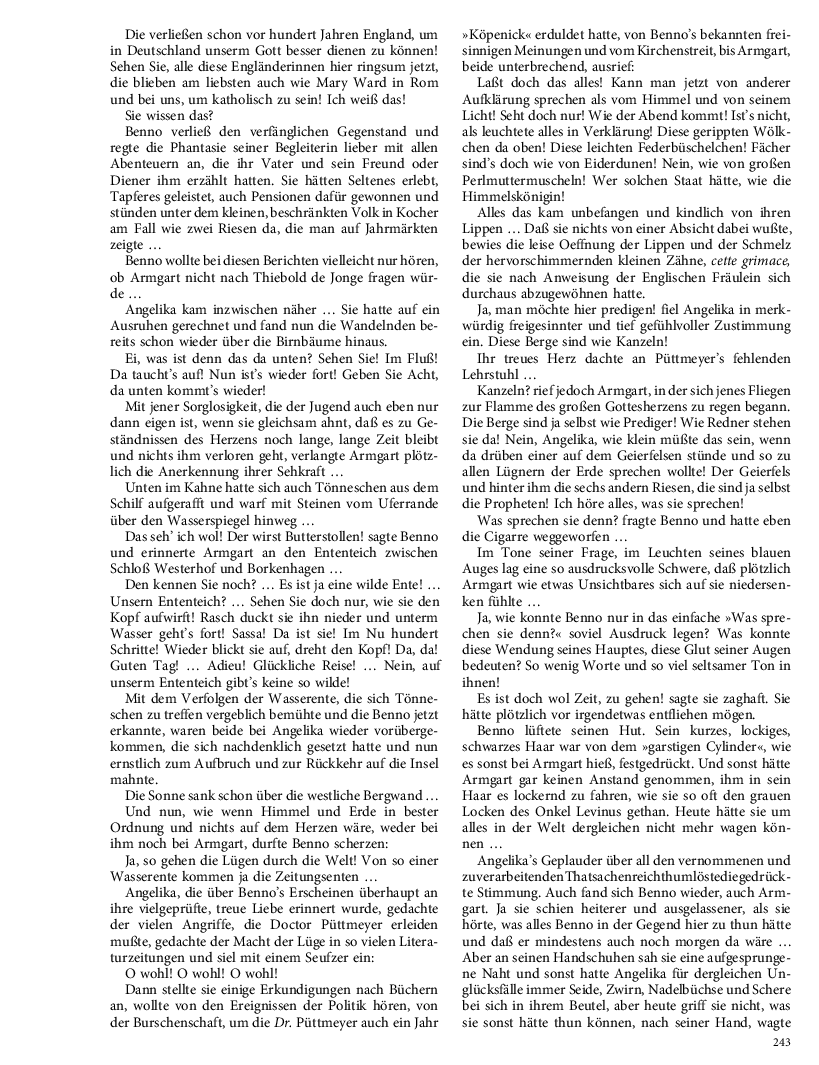 Seite 243