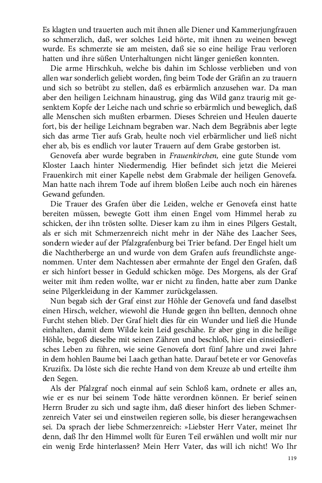 Seite 119