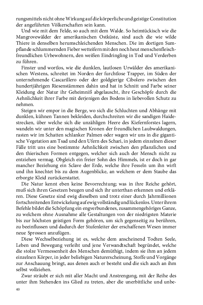 Seite 40