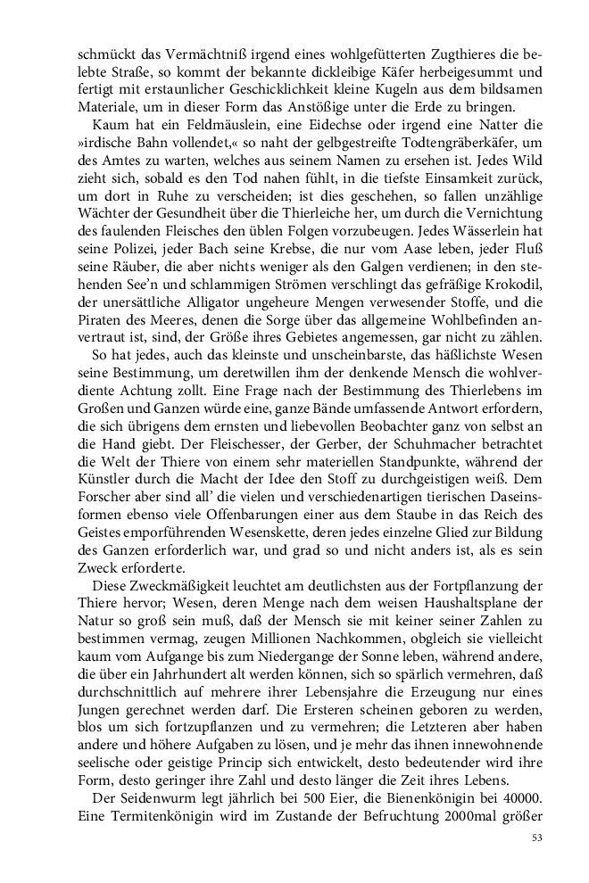 Seite 53