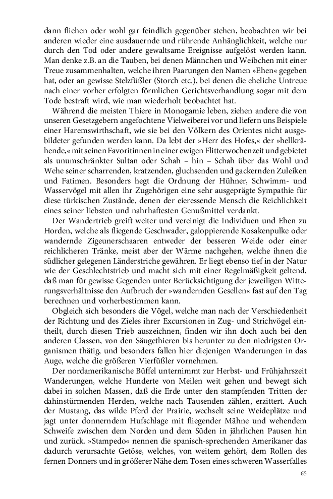 Seite 65