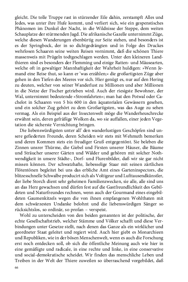 Seite 66