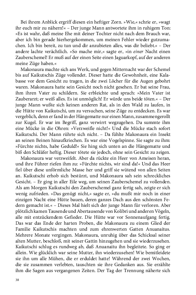 Seite 38