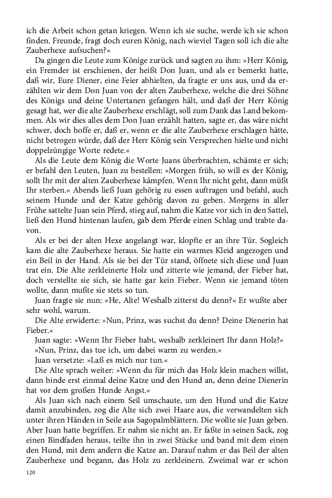 Seite 120