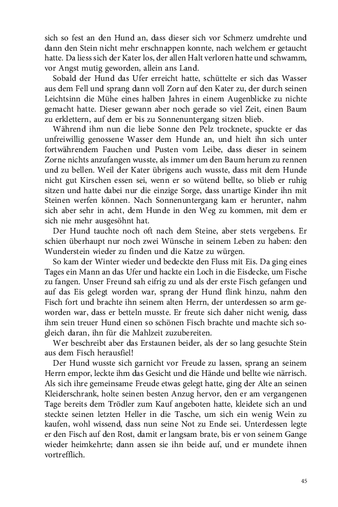 Seite 45