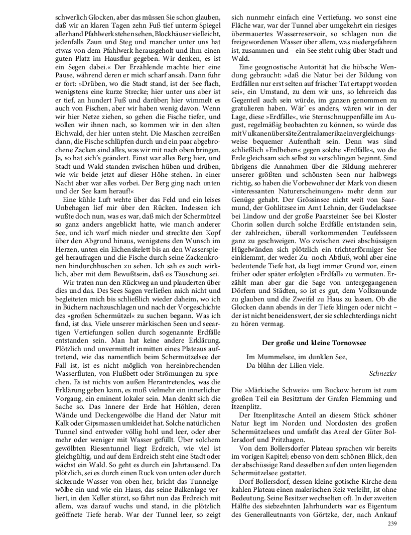 Seite 239