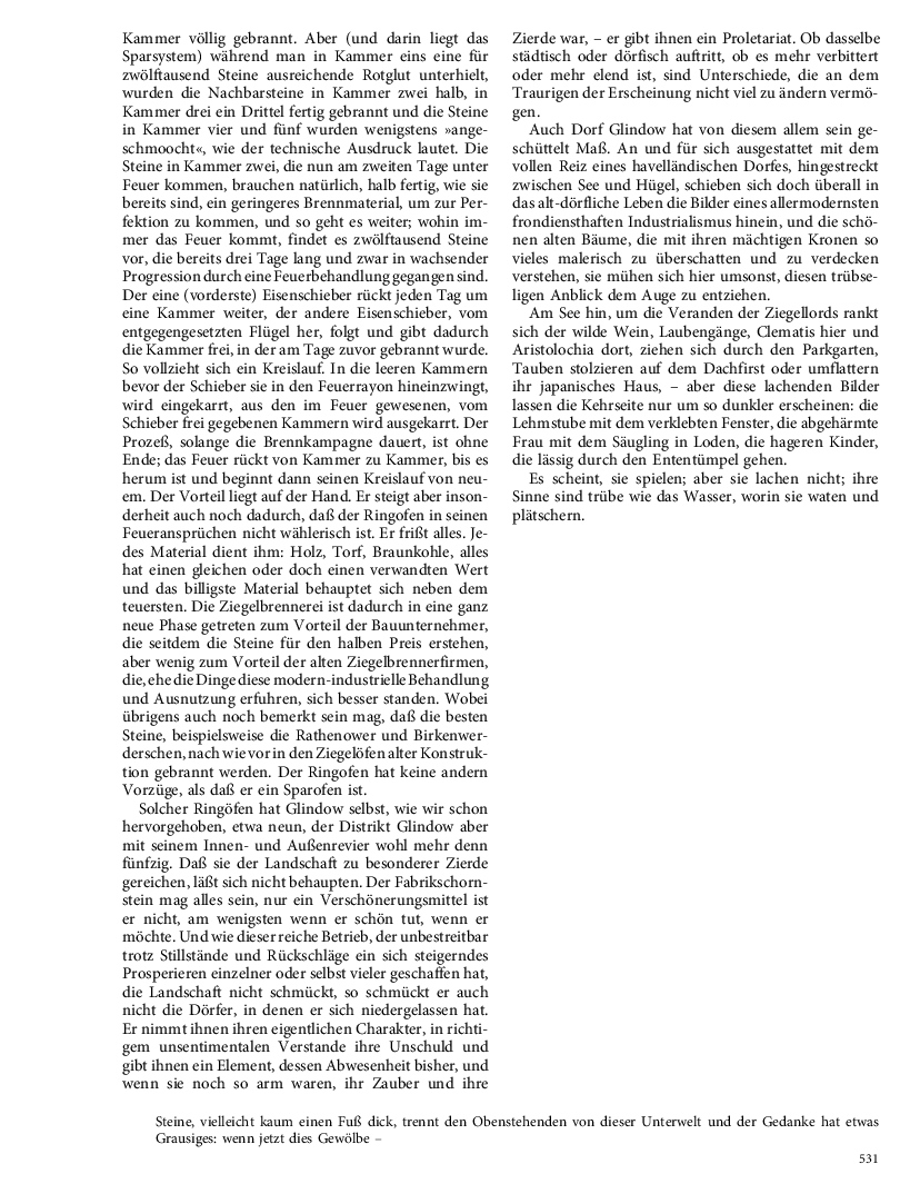 Seite 531