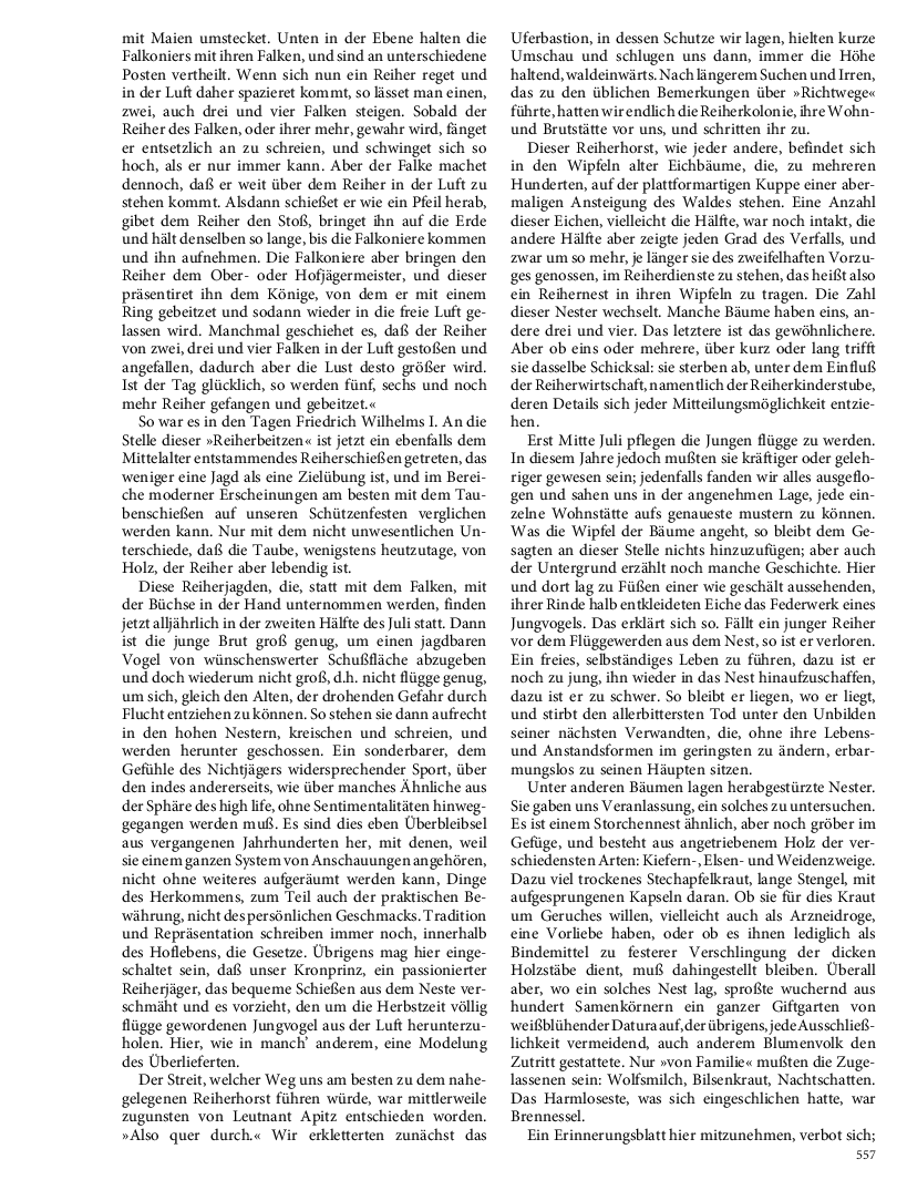Seite 557