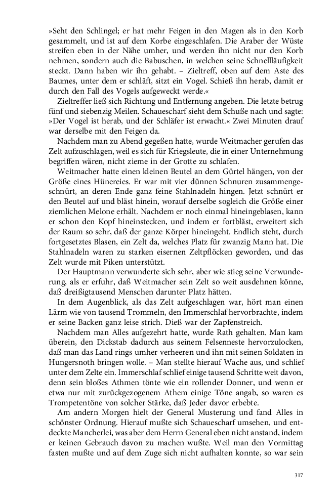 Seite 317