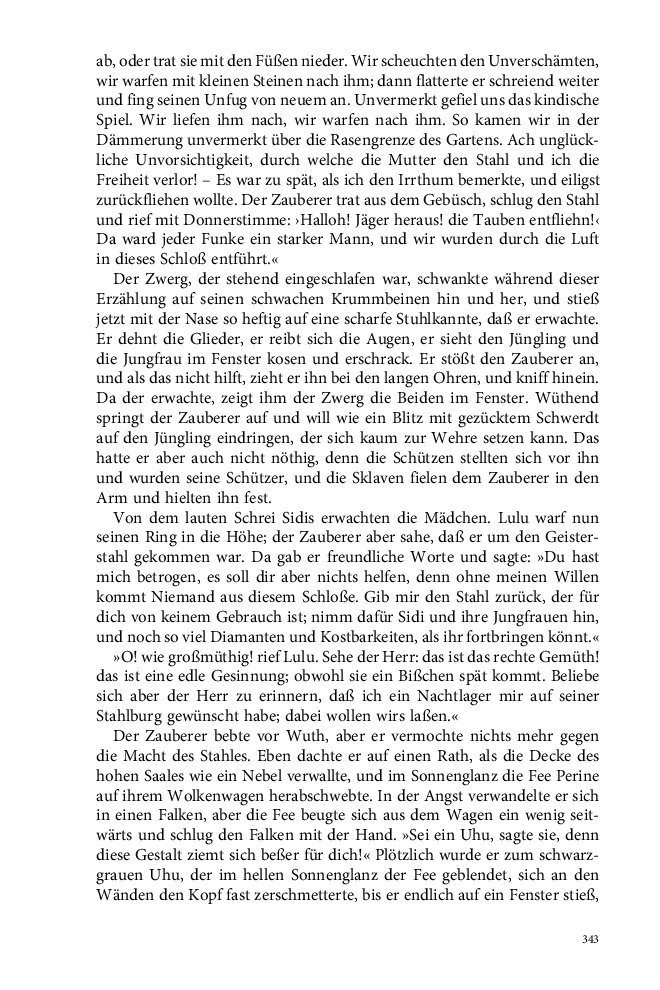 Seite 343