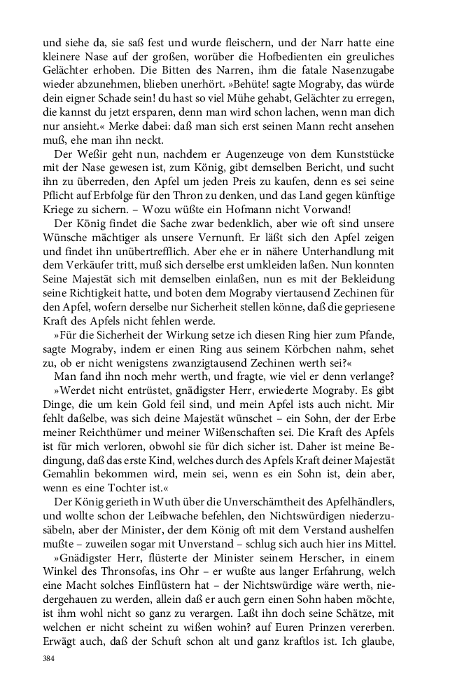 Seite 384