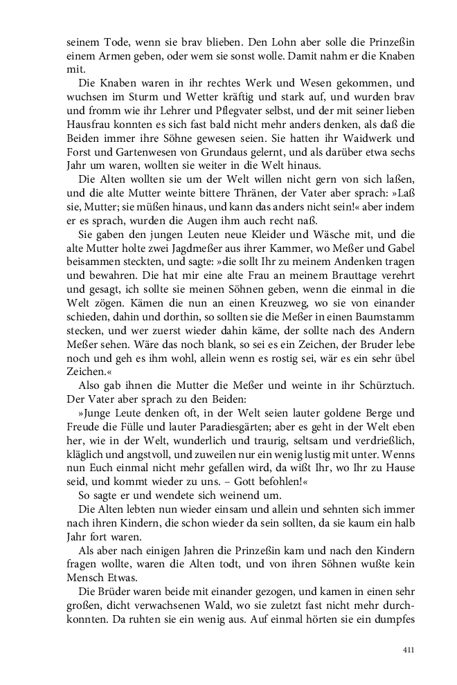 Seite 411