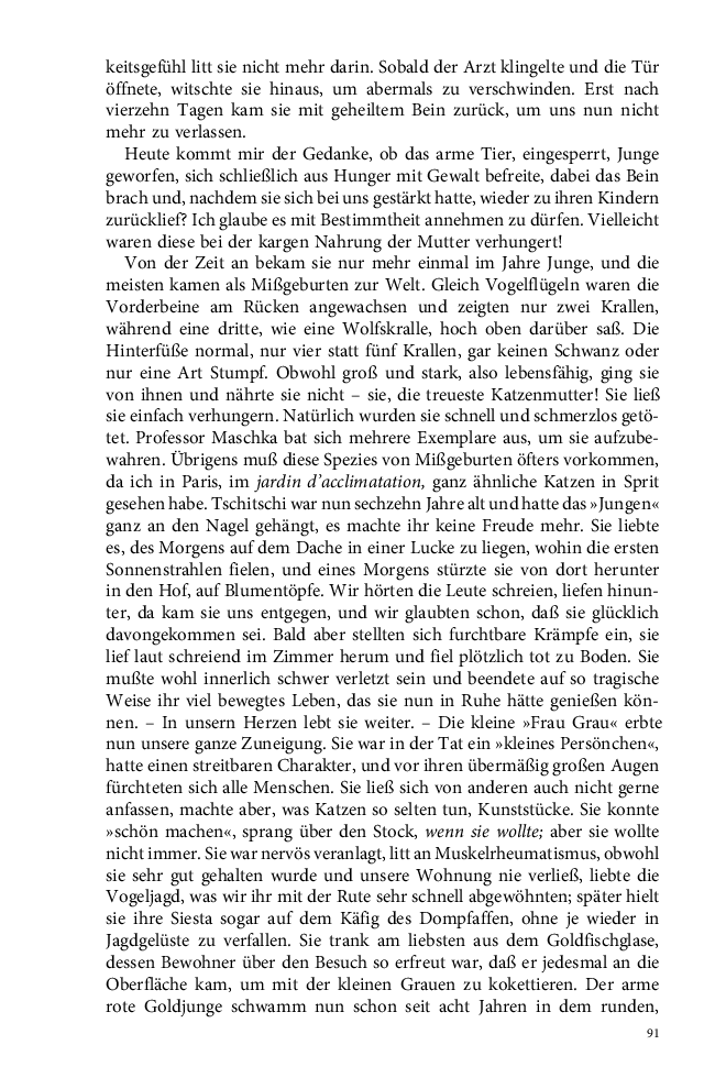 Seite 91