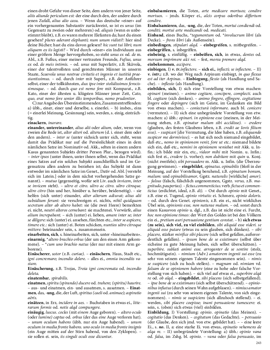 Seite 243