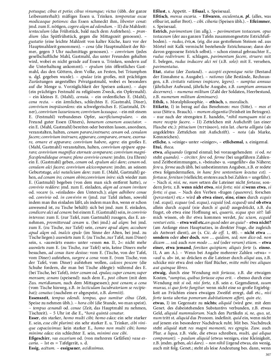 Seite 307