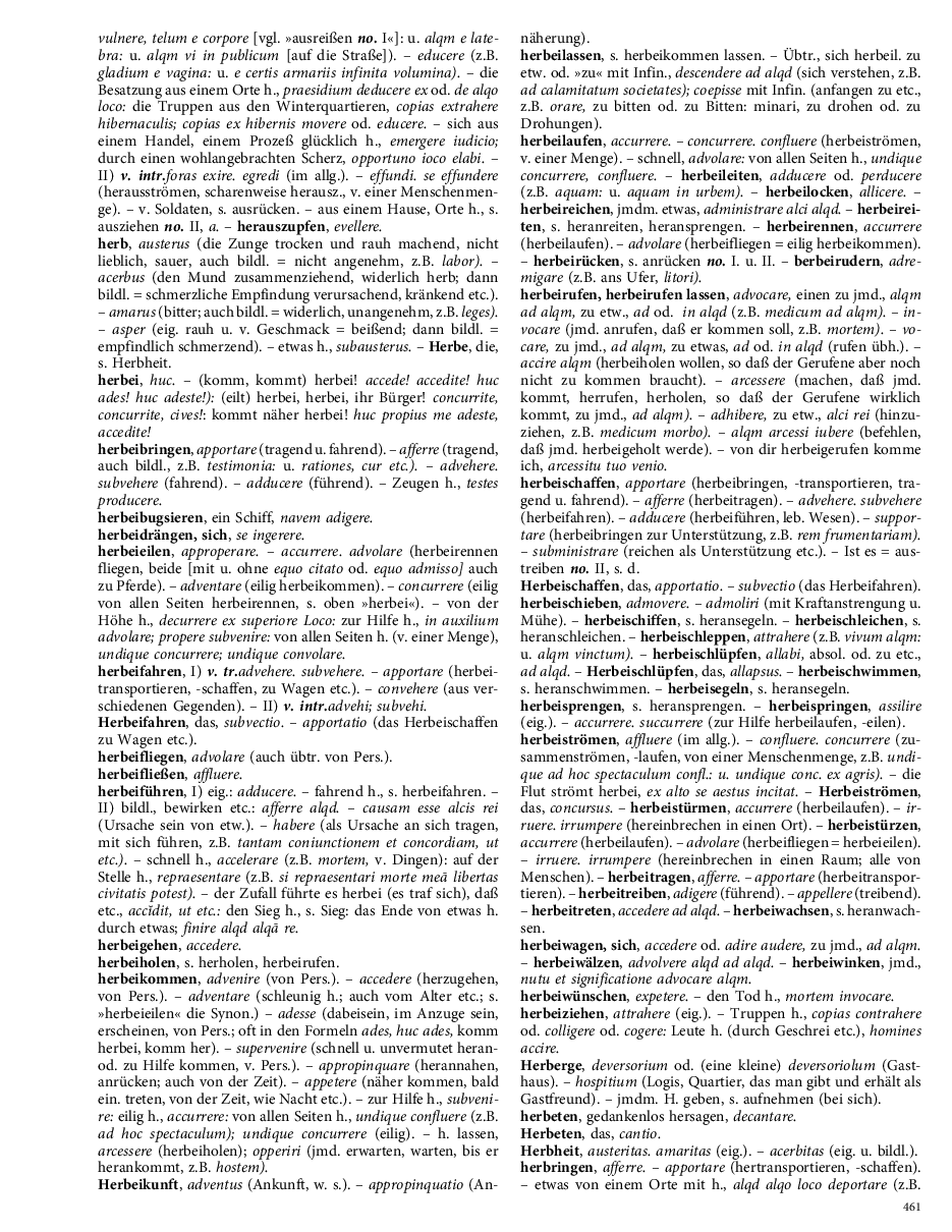 Seite 461